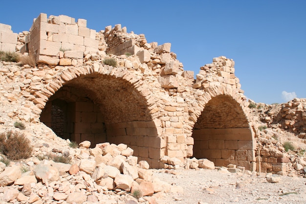 De Schatkist in de oude Jordaanse stad Petra, Jordanië.