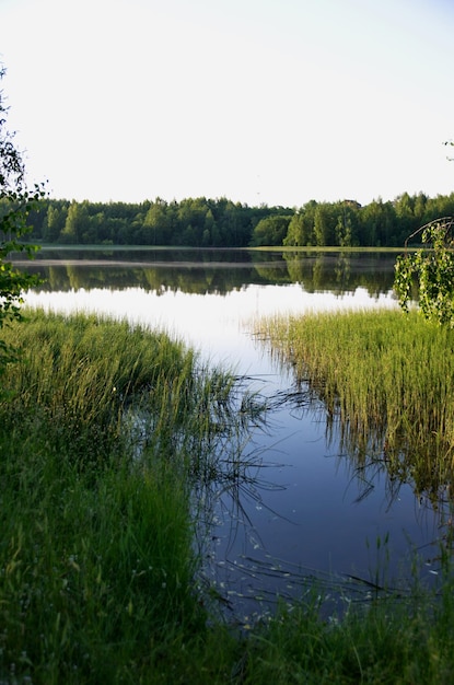 de schoonheid van het zomerlandschap