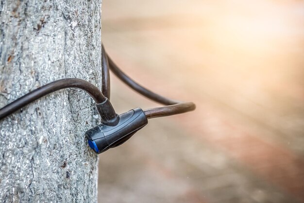 De slotkabel voor de Fiets hangt aan een boom Close up Ruimte kopiëren