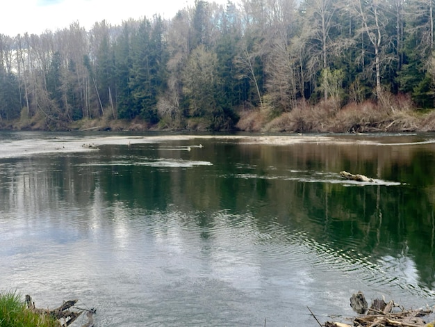 De Snoqualmie-rivier in de staat Washington