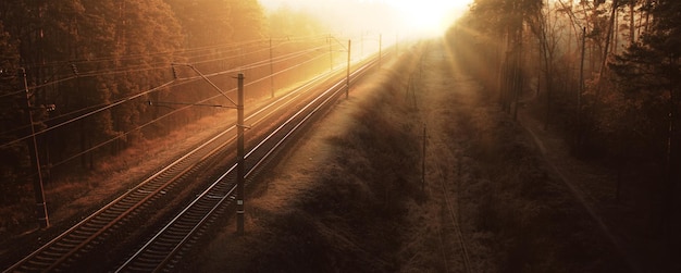 De spoorlijn loopt door het bos. Lege tracks bij zonsondergang of zonsopgang.