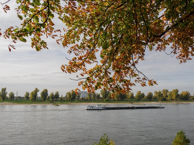 de stad Duesseldorf in Duitsland