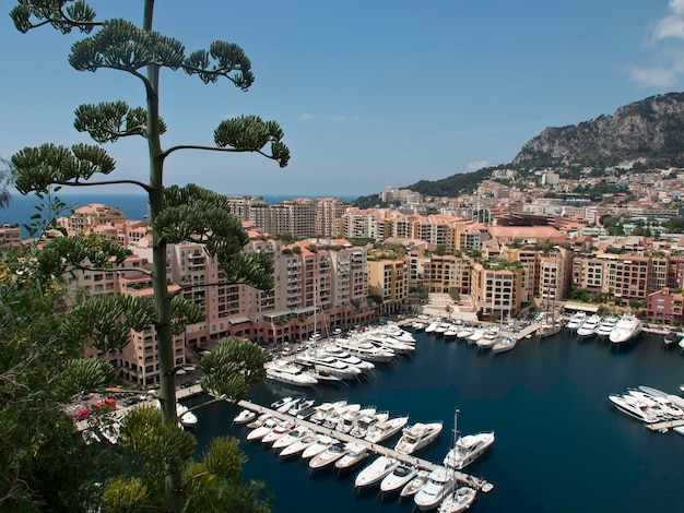 Foto de stad monaco