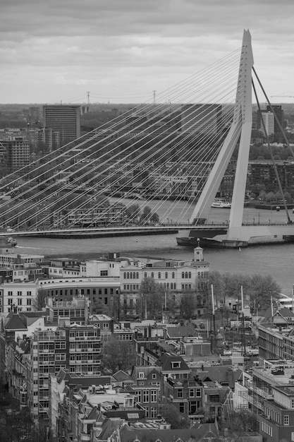 Foto de stad rotterdam in nederland