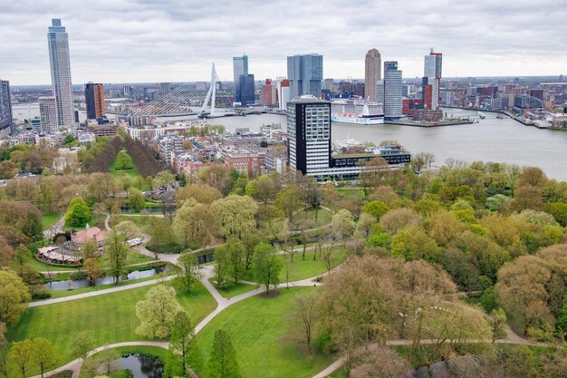 Foto de stad rotterdam in nederland