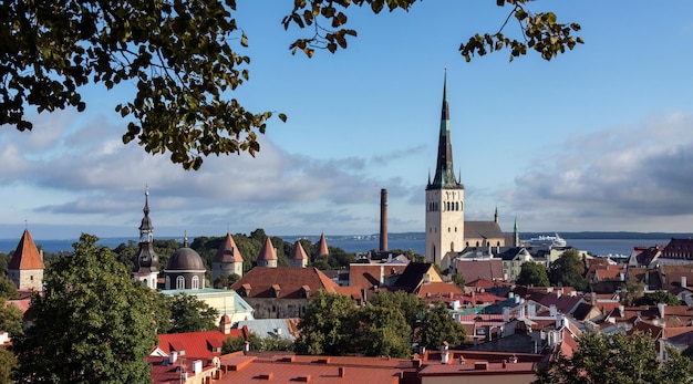 De stad Tallinn Estland