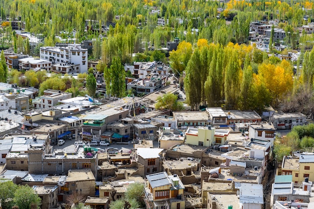 De stad van lehladakh scape met zonlicht