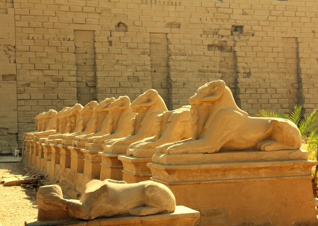 De standbeelden van Egypte van sfinx in karnak-tempel