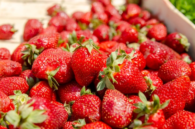 De stapel van het aardbeifruit dicht omhoog