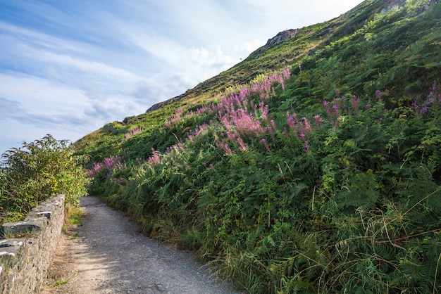 De steen schommelt berg wandelingsweg bij Ierse zeekust. Bray, Greystone