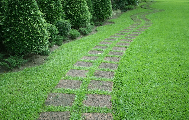 De stenen blok lopen pad in de tuin met groen gras