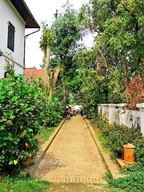 De straat in Luang Prabang Laos