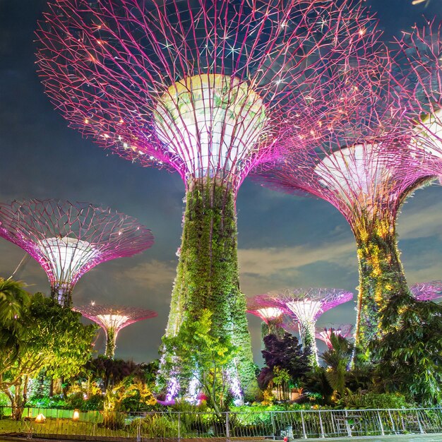 Foto de supertree bij gardens by the bay