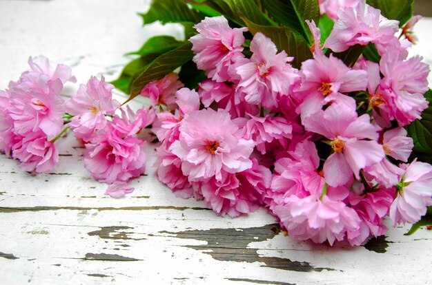 De tak met kleine roze bloemen op witte houten bank, sluit omhoog