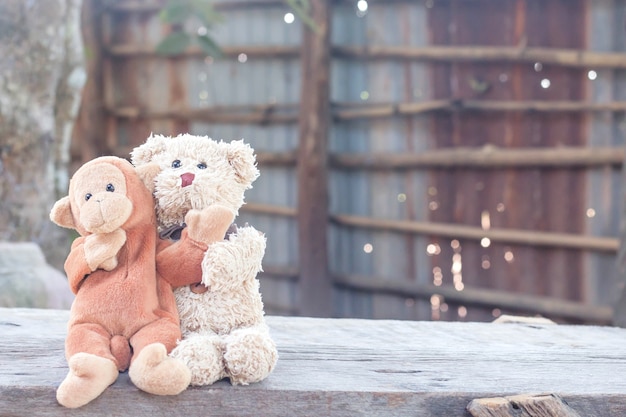 De teddybeer en de leuke aap koesteren op bank voor huis