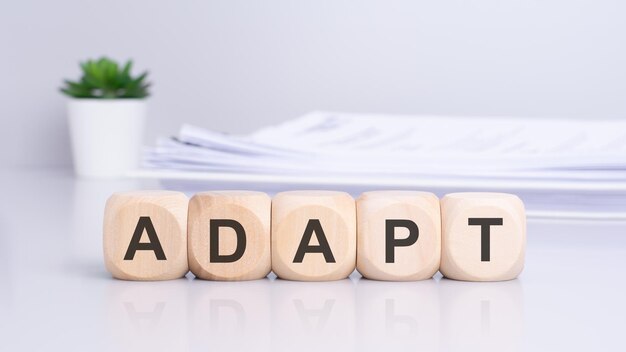 Foto de term adapt is geschreven op houten blokken met een potplant zichtbaar op de achtergrond