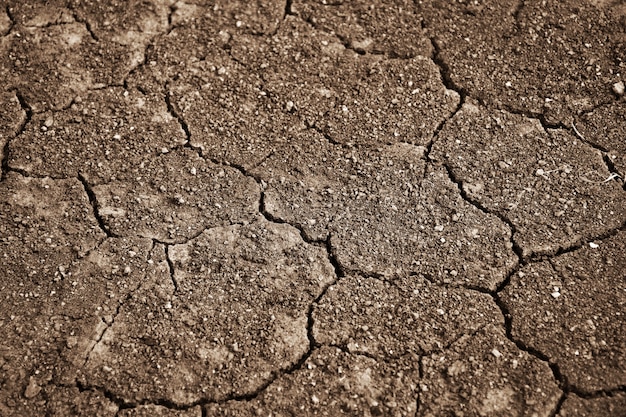 De textuur van de barstgrond in de zomer. van het wereldwijde klimaat