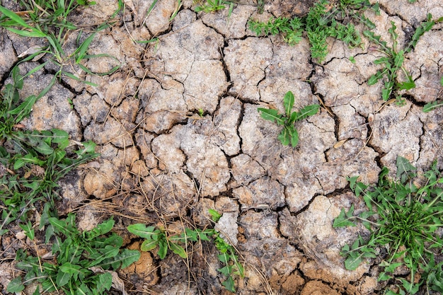 De textuur van droge, gebarsten aarde met grasspruiten Droogte en milieuproblemen