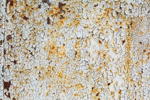 De textuur van een oud roestig blad van metaal schilderde met witte verf uitgebrand in de zon