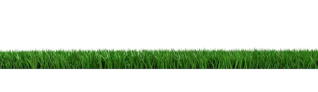 De textuur van groen gras voor de achtergrond. Groen gazonpatroon en geweven achtergrond. 3D render.