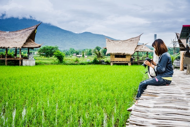 De toerist geniet van verse lucht van platteland, op houten brug in padieveld bij het noorden van thailand