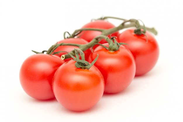 De tomaten vertakken zich dicht omhoog geïsoleerd