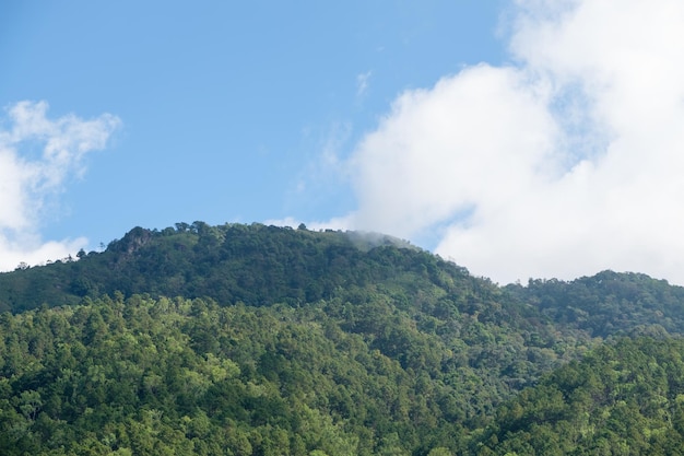 De top van de hoge berg in het regenwoudgebied van het nationale park