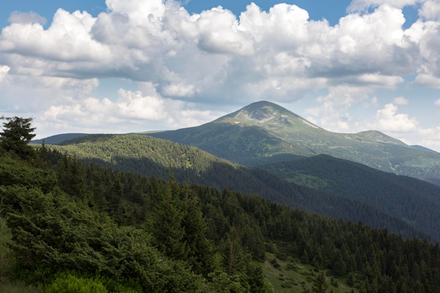 De top van Mount Hoverla is bedekt met groen gras en stenen op een zonnige dag Wandelen en toerisme in de Karpaten