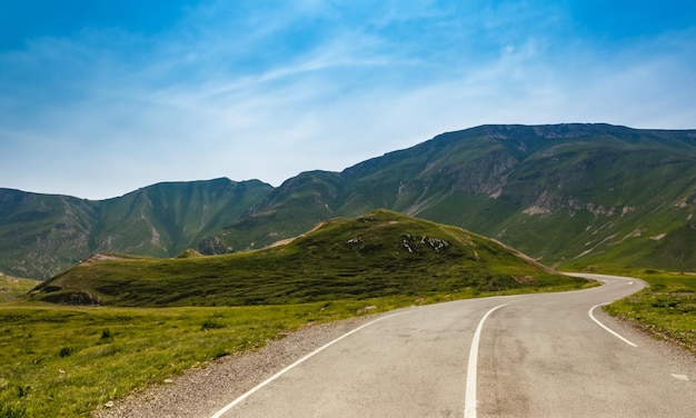 De Transfagarasan-weg in de Karpaten van Roemenië vroeg in de ochtend