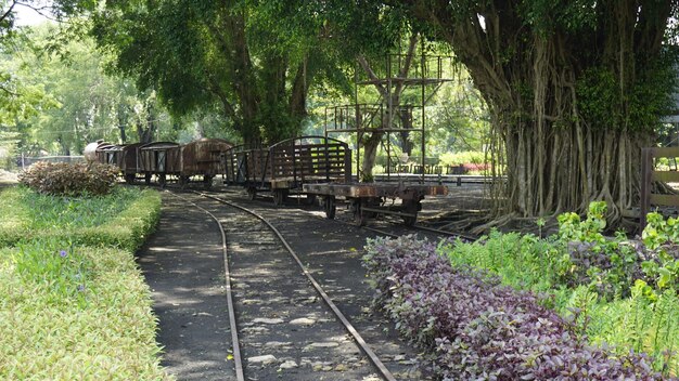 De treinrails op het treinstation