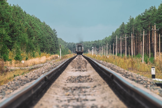 De treinwagon rijdt per spoor in het bos.