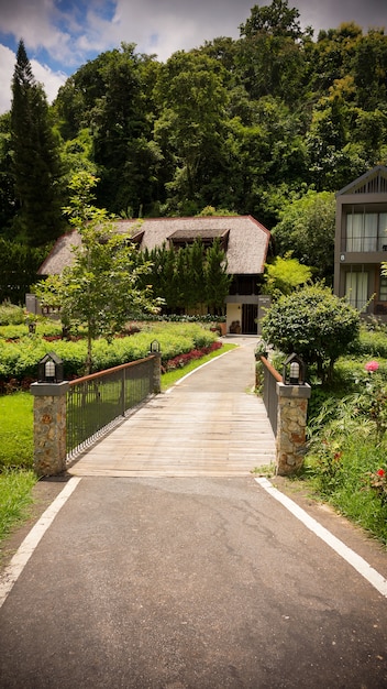 De tuin is ingericht in tropische jungle-stijl voor ontspanning.