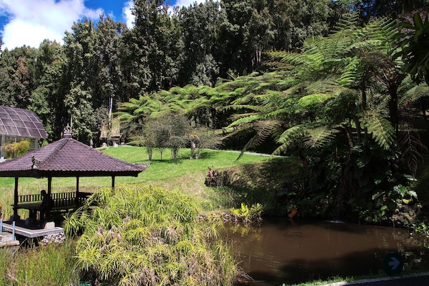 De tuin op het eiland Bali, Indonesië