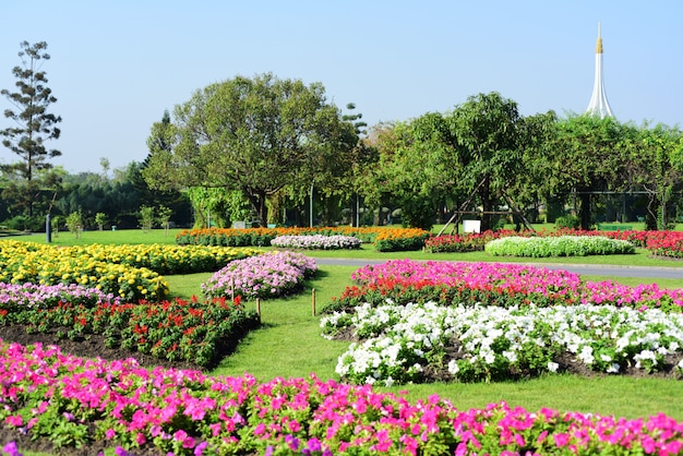 De tuinman geeft de bloemen water in het park van Long 9 Park.