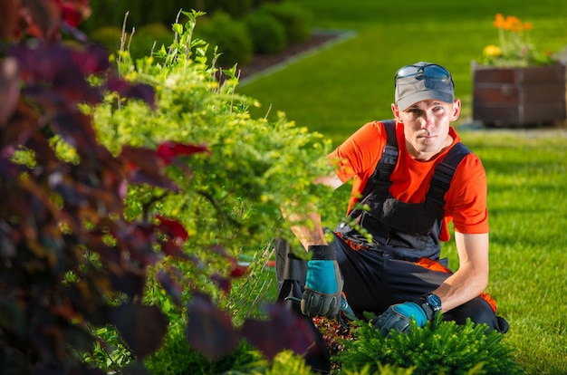 Foto de tuinontwerper