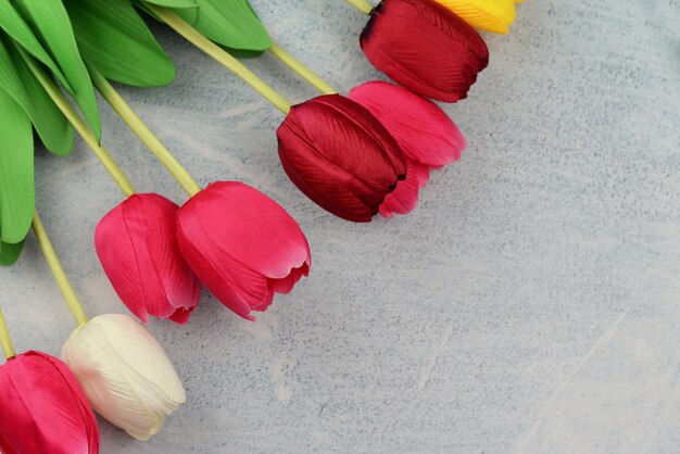 De tulp bloeit banner op een grijze achtergrond