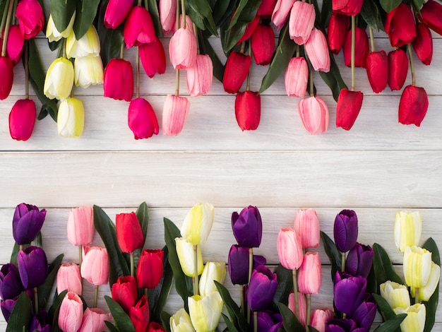 De tulpenbloemen van de lente op oude houten