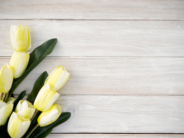 De tulpenbloemen van de lente op oude houten