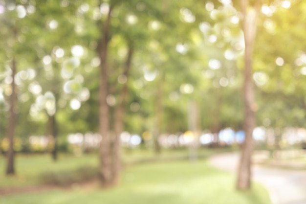 De vage achtergrond van de de herfstaard, achtergrond van het onduidelijk beeld de groene park van het onduidelijke beeld