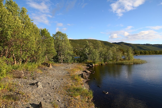 De vallei met meer en bos in Noorwegen Scandinavië