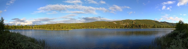 De vallei met meer en bos in Noorwegen Scandinavië