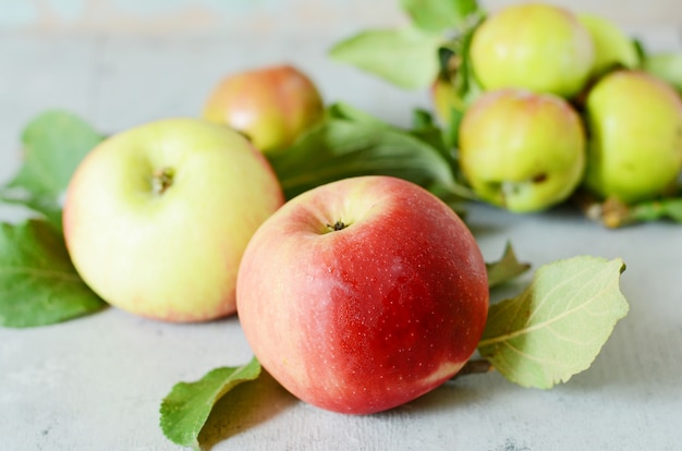 De verse appelvruchten sluiten omhoog, sappige rode appelen met groene bladeren