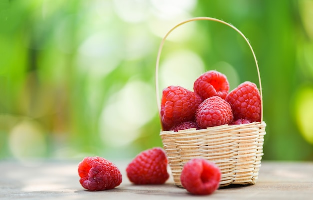 De verse framboos in mand / sluit omhoog rood rijp frambozenfruit op houten en groene aard