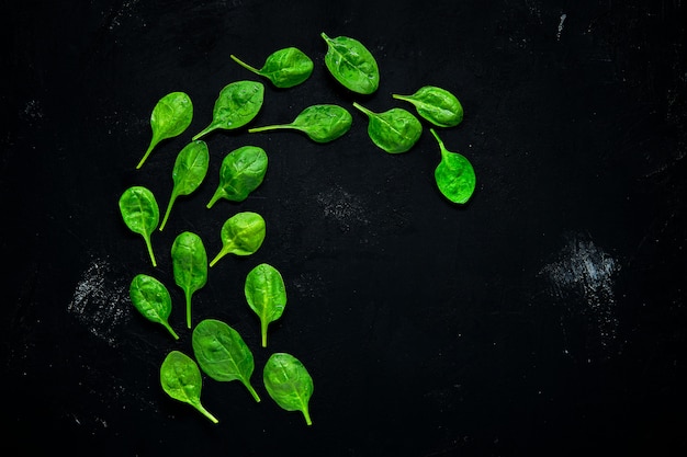 De verse groene bladeren van de babyspinazie op abstracte zwarte