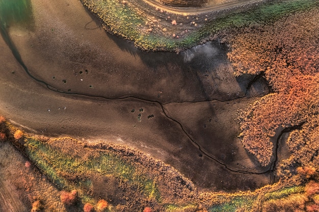 De vijver is volledig opgedroogd en de meeste planten eromheen zijn gestorven door de opwarming van de aarde.