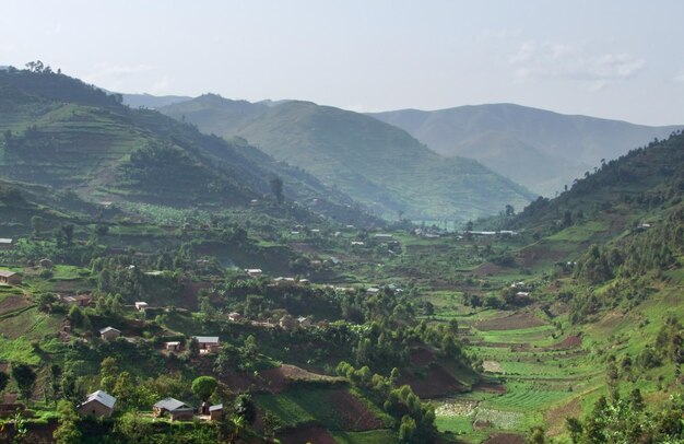 De Virunga-bergen in Afrika