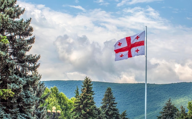 De vlag van Georgië tegen de achtergrond van groene bomen en blauwe lucht