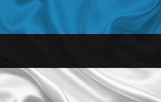 De vlag van het land van Estland op het golvende panorama als achtergrond van de zijdestof - illustratie