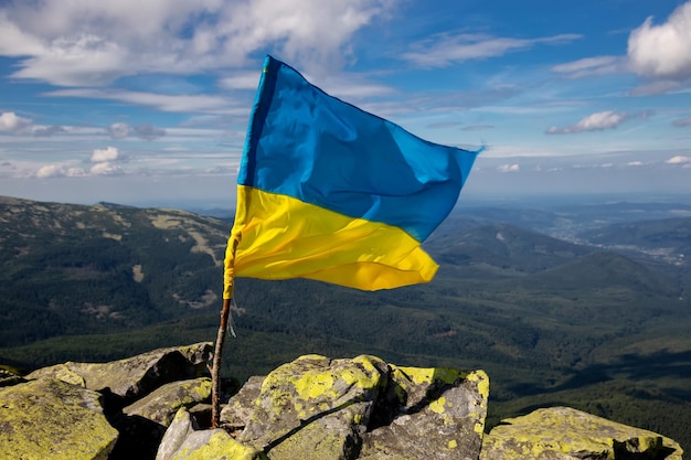 De vlag van Oekraïne op de top van de Karpaten Mooi berglandschap