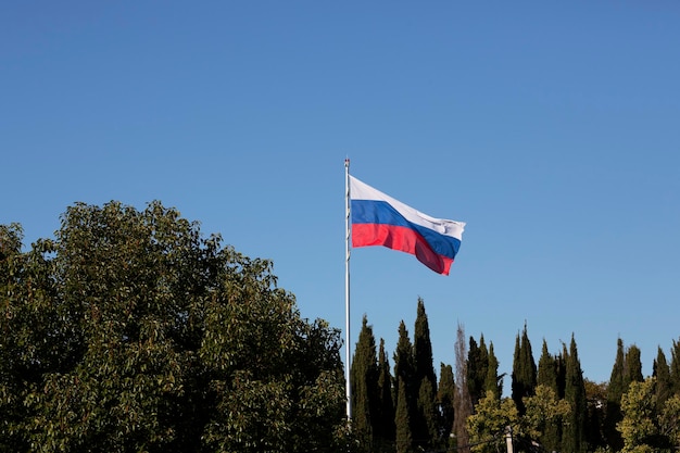 De vlag van Rusland zwaait tegen een achtergrond van blauwe lucht en cipressen Sotsji